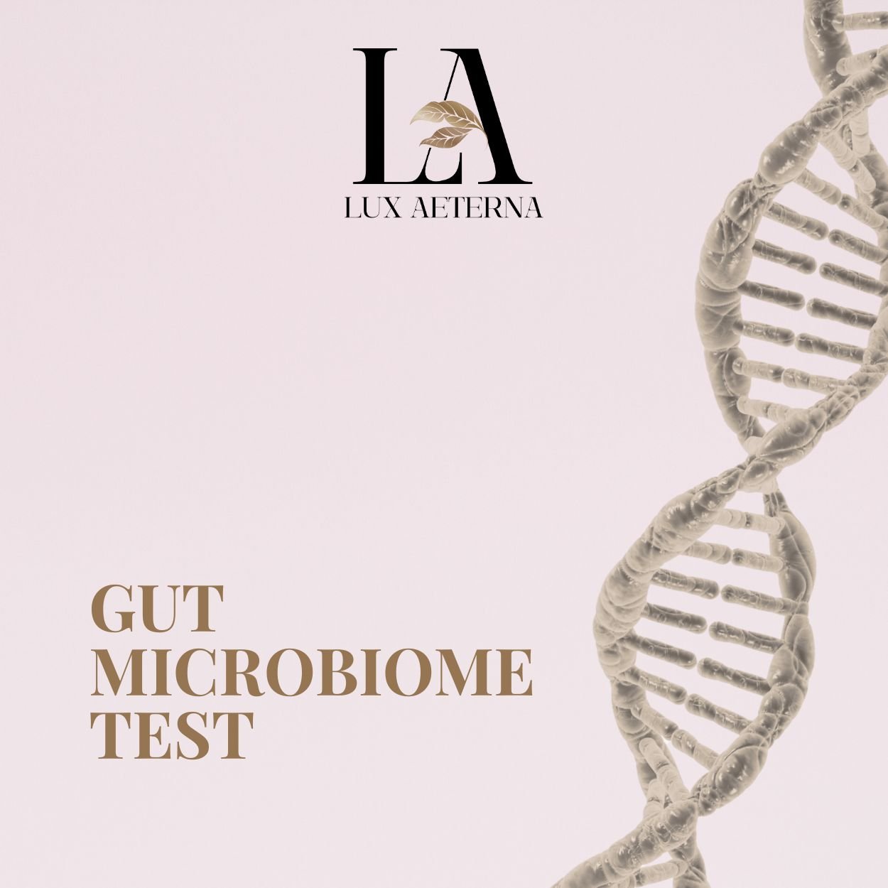 Gut Microbiome Test